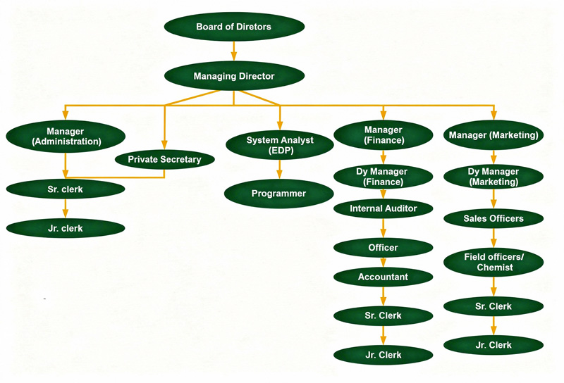 Organisational-Structure-new